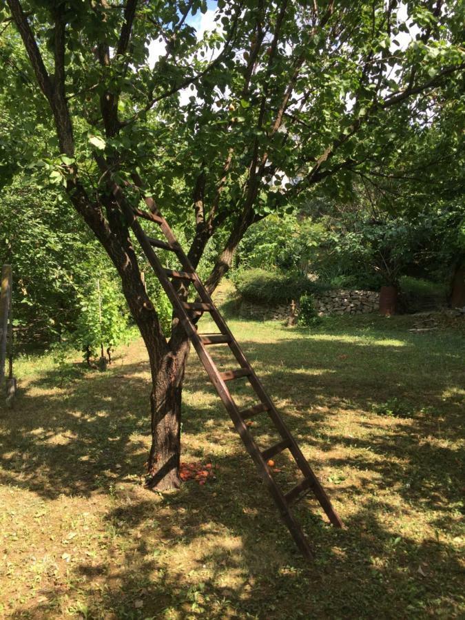 Pergola House In A Green Oasis With Fantastic View Apartment Petrovaradin Exterior photo