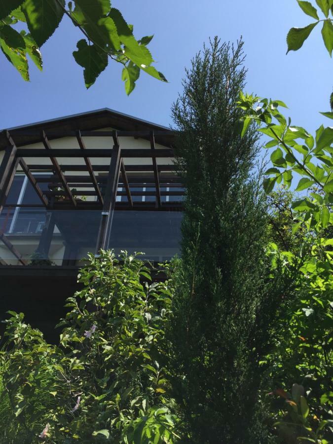 Pergola House In A Green Oasis With Fantastic View Apartment Petrovaradin Exterior photo